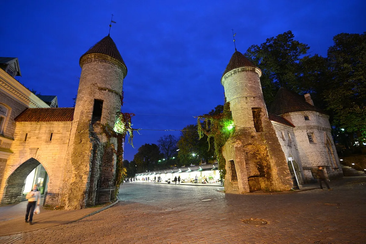 De middeleeuwse torens en rode daken van de Vanalinn (Oude Stad) van Tallinn met de Domkerk op Toompea
